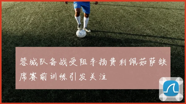 蓉城队备战受阻李扬费利佩茹萨缺席赛前训练引发关注